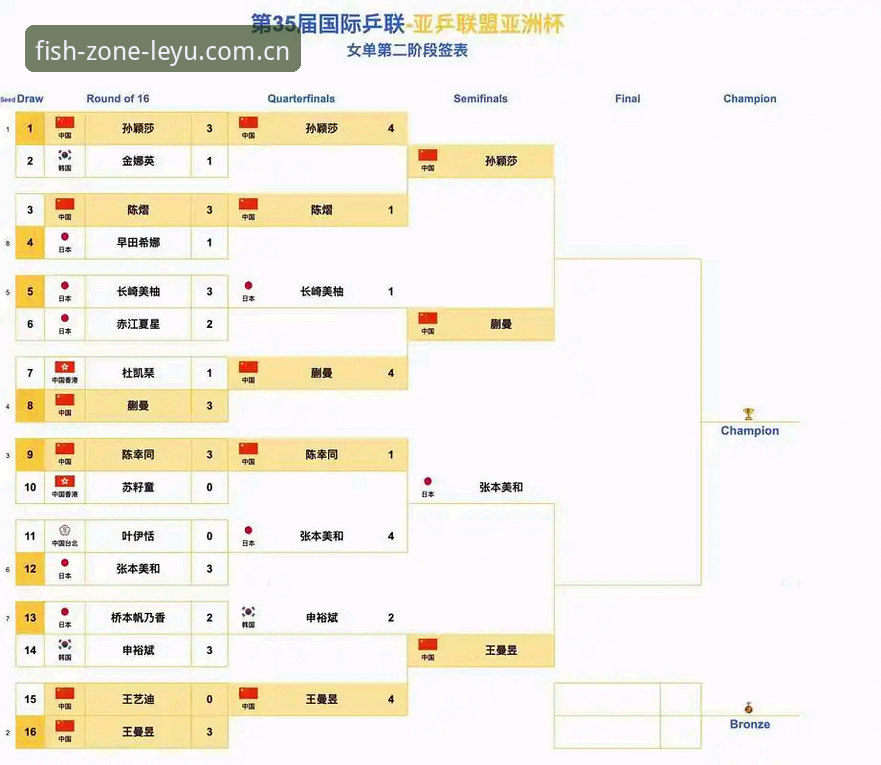 世界杯门票与签证困局：深度解析政治冲突如何重塑国际球迷观赛体验